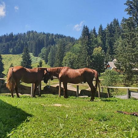 Hotel Koca Goska Ravan Kamna Gorica Esterno foto