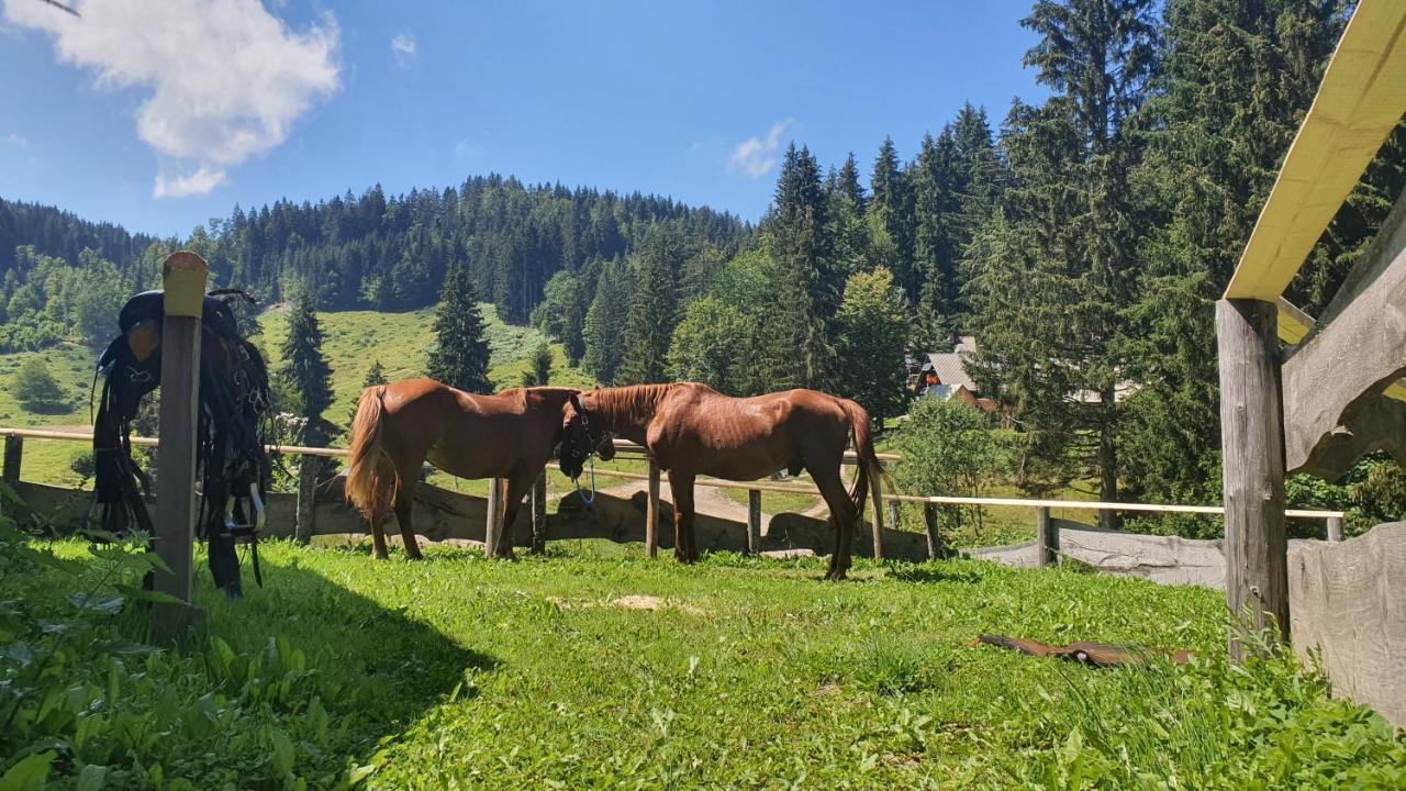 Hotel Koca Goska Ravan Kamna Gorica Esterno foto